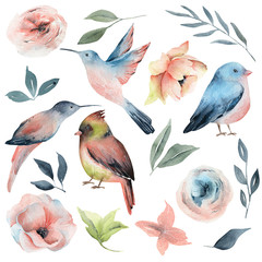 Watercolor spring birds and flowers