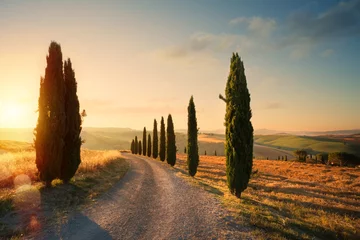 Fotobehang Toscane italië toscane platteland glooiende heuvels  zomer landbouwgrond en landweg 