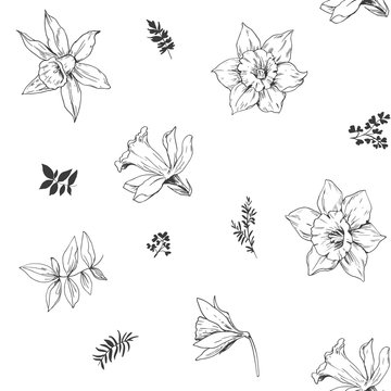 Seamless pattern with daffodils flowers. Vector