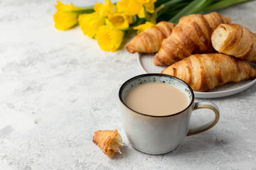 Breakfast with fresh croissants, cup of coffee and yellow daffodils on the table