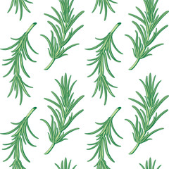 Rosemary pattern