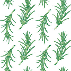 Rosemary pattern