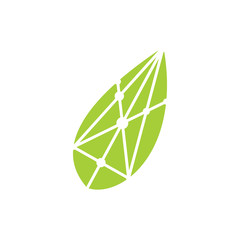 Leaf Logo Design Vector Template Isolated