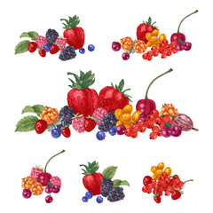 Borders with hand drawn brries