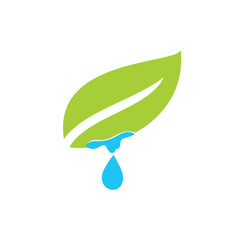 Leaf Logo Design Vector Template Isolated