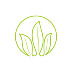 Leaf Logo Design Vector Template Isolated