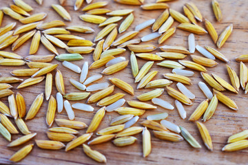 rice on white background