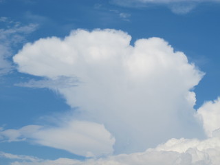 white clouds in the sky