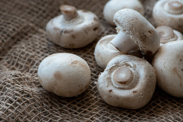 Mushrooms on burlap.