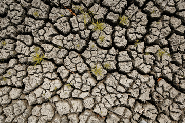 Concept of global warming, hot and dry climate,change climate,land for perennial crops