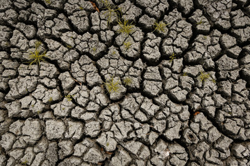 Concept of global warming, hot and dry climate,change climate,land for perennial crops