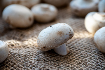 Mushrooms on burlap.