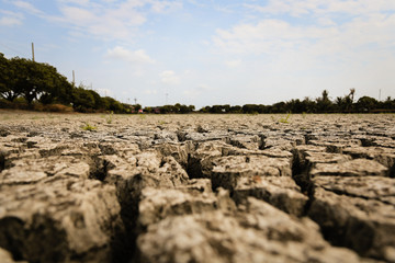 Concept of global warming, hot and dry climate,change climate,land for perennial crops