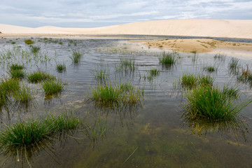 Lagoon on the middle of the dunes at Lencois Maranhenese National Park, Brazil