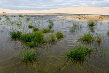 Lagoon on the middle of the dunes at Lencois Maranhenese National Park, Brazil
