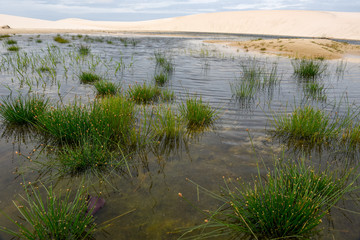 Lagoon on the middle of the dunes at Lencois Maranhenese National Park, Brazil