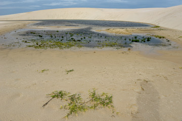 Lagoon on the middle of the dunes at Lencois Maranhenese National Park, Brazil