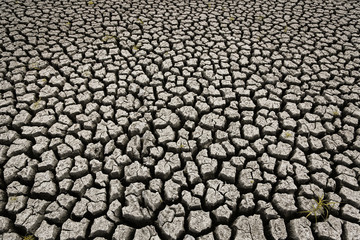 Concept of global warming, hot and dry climate,change climate,land for perennial crops