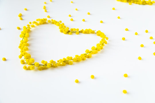 Festa della Donna 8 Marzo, simbolo del cuore fatto con fiori Mimosa giallo su uno sfondo bianco.