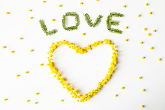 Simbolo del cuore fatto con la Mimosa e scritta love su un fondale bianco per la festa internazionale della donna 8 Marzo