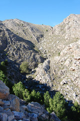 Landscape of mountains and trees