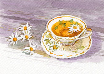 watercolor cup tea hand drawn