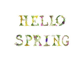 Hello Spring inscription made of flowers.