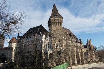 Fototapeta premium Budapest Castle