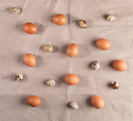 Brown chicken eggs and spotted quail eggs laid out on rustic canvas. 