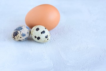 Obraz na płótnie Canvas Brown Easter egg and spotted quail egg with selected focus on structured cement background. Happy easter holiday card with empty space for text. Pattern eggs on gray textured backdrop 