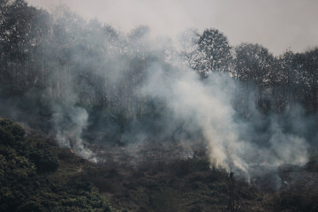Smoke rising from a grassland wildfire fire next to a forest on a mountain