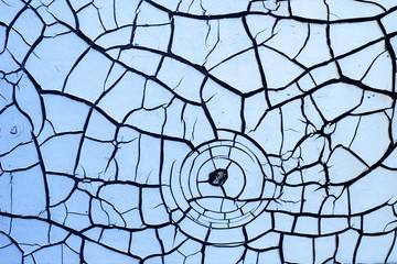 Texture of old white paint on a wooden wall with a beautiful, abstract, arachnoid pattern, suitable...