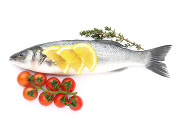 Tasty fresh seabass fish on white background