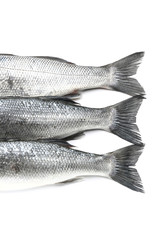 Tasty fresh seabass fish on white background
