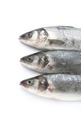 Tasty fresh seabass fish on white background
