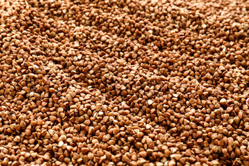 Raw buckwheat as background