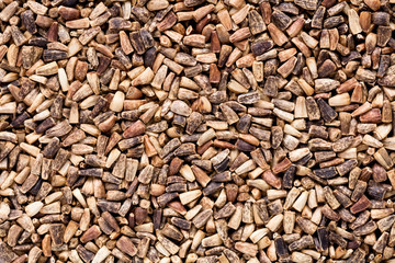 High quality seeds of chicory, in a texture form for your garden. Can be used by seed producers for create exquisite packaging with seed on background.