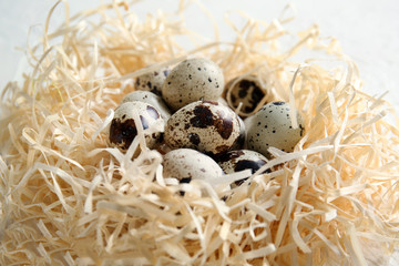 Naklejka na ściany i meble Nest with fresh quail eggs on table, closeup