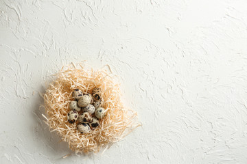 Fototapeta premium Nest with fresh quail eggs on white table
