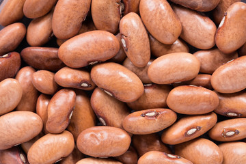 High quality seeds of blauhilde phaseolus, legumes in a texture form for your awesome  garden. Can be used by seed producers for create contrast packaging with seed on background.