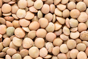 High quality seeds of lentils, in a texture form for your unique garden. Can be used by seed producers for create new perfect packaging with seed on background.