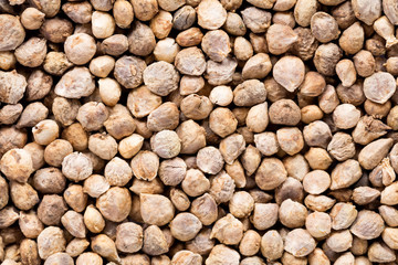 High quality seeds of spinach, in a texture form for your unique garden. Can be used by seed producers for create exquisite packaging with seed on background.