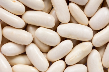 High quality seeds of beans, in a texture form for your unique garden. Can be used by seed producers for create contrast new packaging with seed on background.