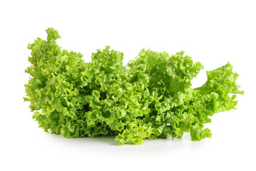 Fresh lettuce salad on white background