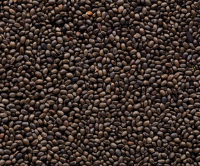 High quality seeds of savory, in a texture form for your unique garden. Can be used by seed producers for create new exquisite packaging with seed on background.