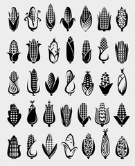 Corn set. Collection icon corn. Vector
