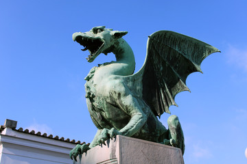 Drago alato © mauro tombolini