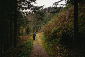 Obraz premium Old man hiking in the beautiful Schwarzwald forest