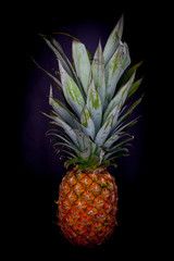 A whole pineapple on a black background