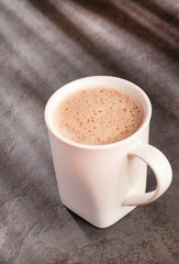 Chocolate drink - Theobroma cacao.